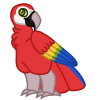 Macaw, Red