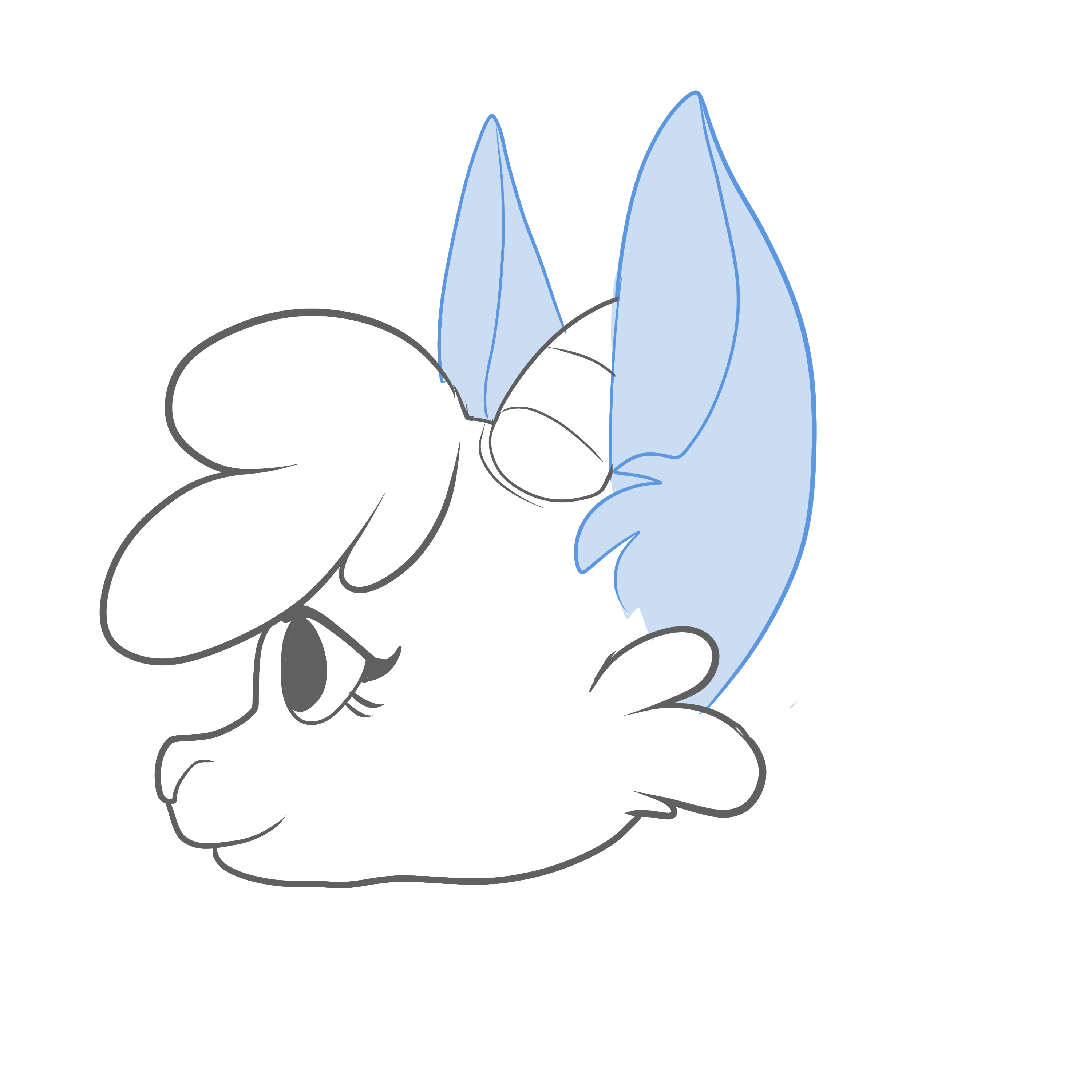 Ears, Pointed