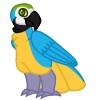 Macaw, Blue